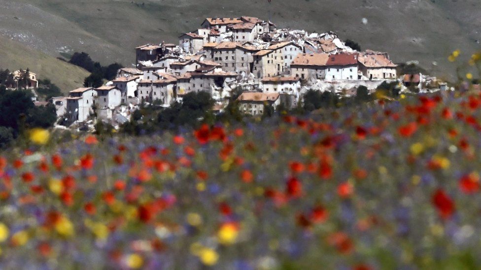 Castelluccio surrounded by poppies, cornflowers and lentils