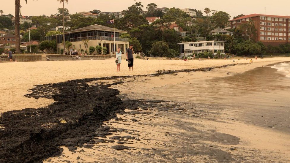 Black ash covers Sydney's Balmoral Beach