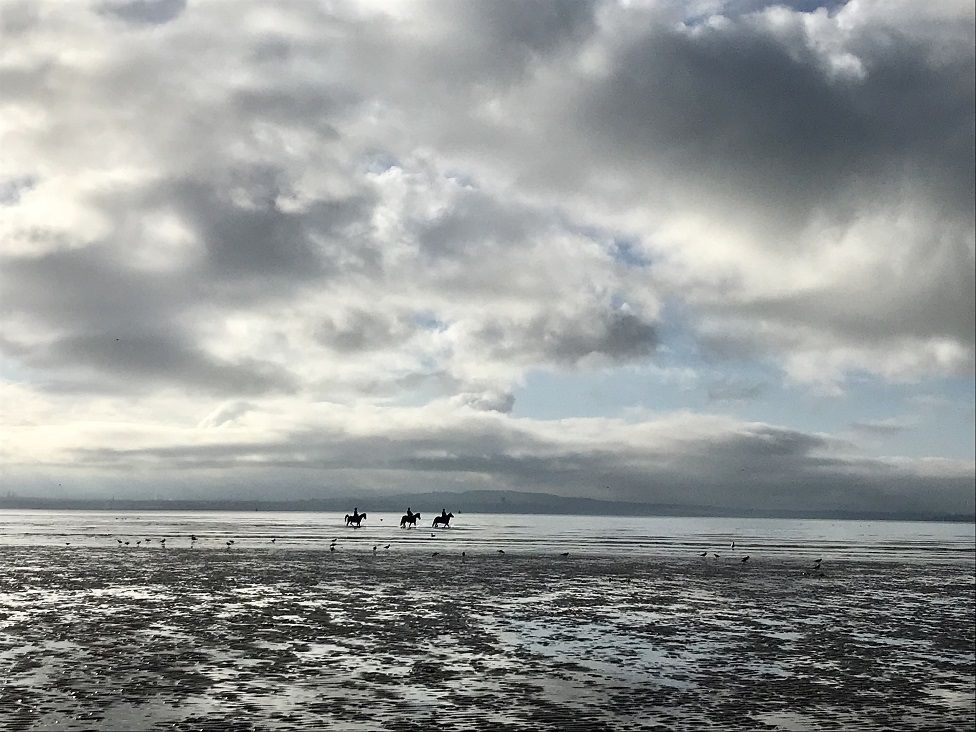 Horses in water near Burntisland