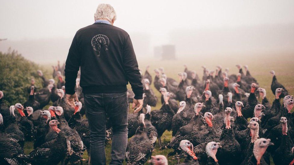 Paul Kelly and turkeys