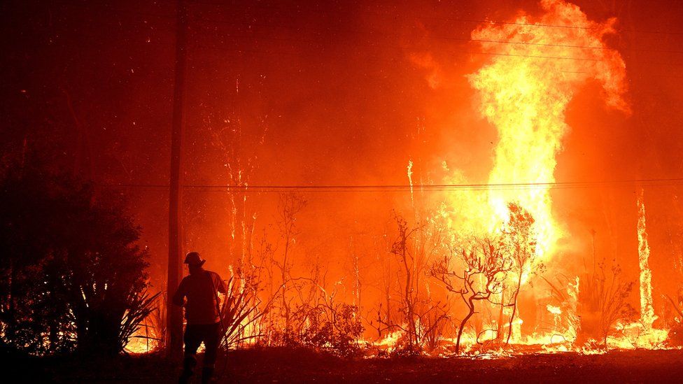 Sydney bushfires - firefighter standing in front of huge flames in Sydney