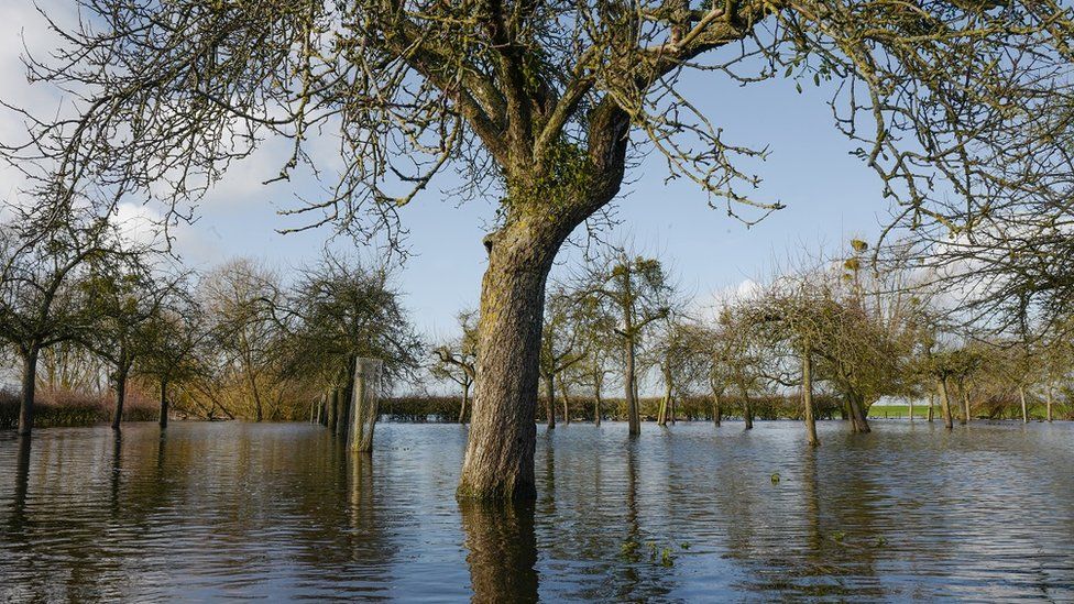 Flooding on an orchard
