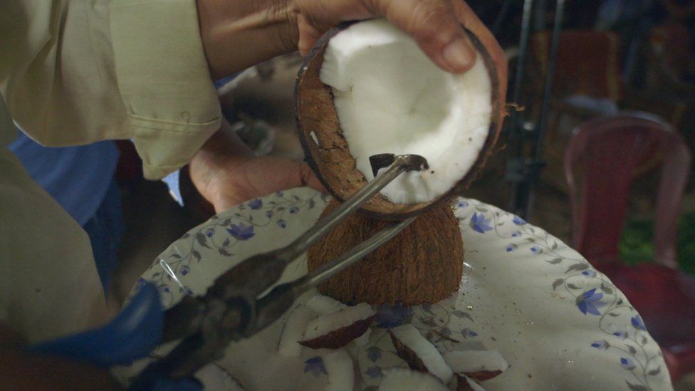 A homemade nut cracker scooping out a coconut