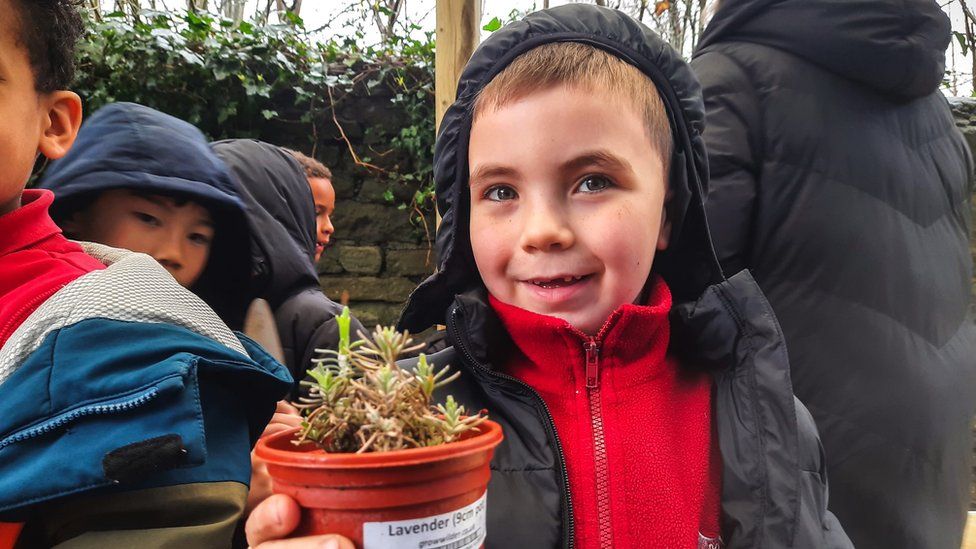 Image of a boy holding a small lavender plant.