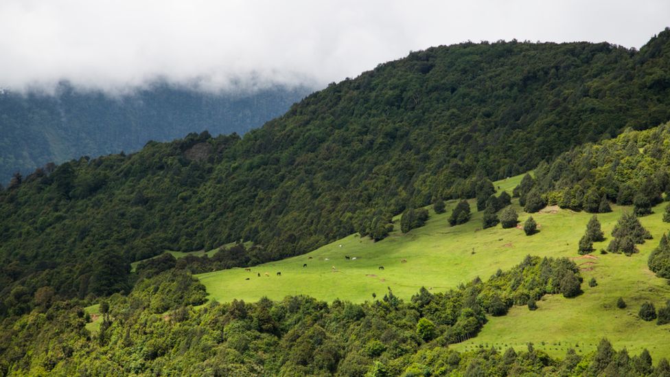 Why Bhutan's Sakteng wildlife sanctuary is disputed by China | Land Portal