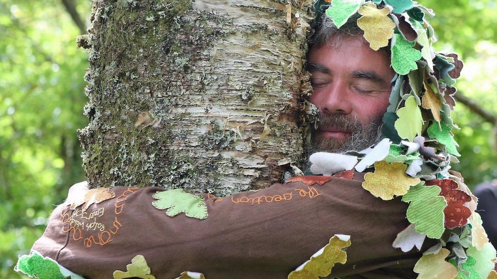 In pictures Scotland's champion tree huggers BBC News