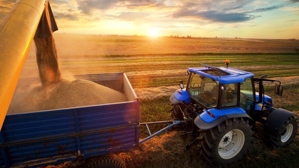 Harvest stock shot