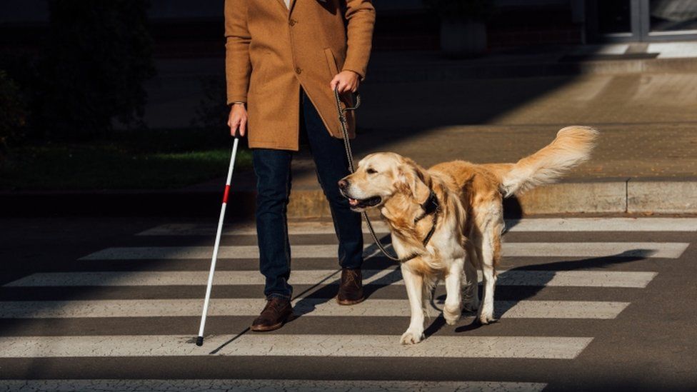 A man with a guide dog