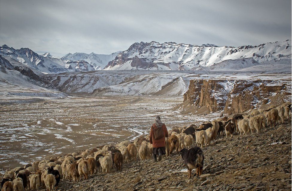 A shepherdess with her goats travels across a mountainous region