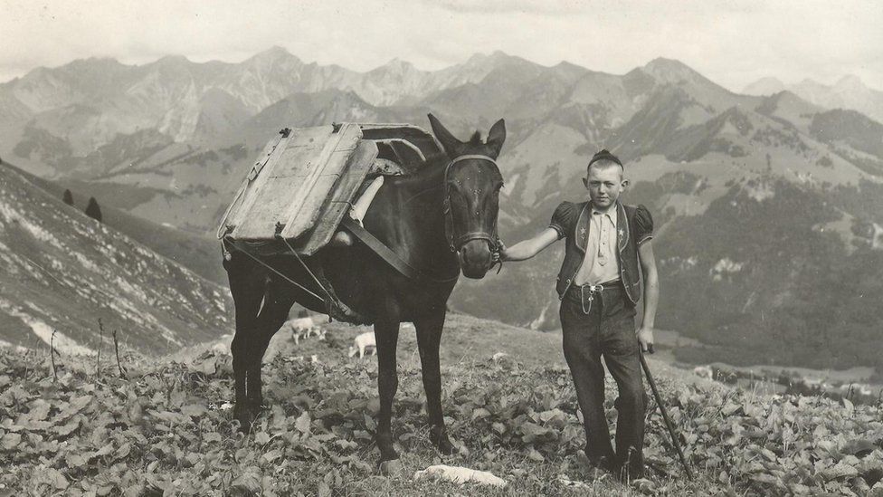 Archive photo of a boy and his horse on the Alps