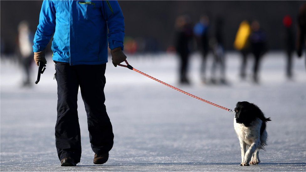 A man walks his dog on the Nannewiid, a lake frozen over as temperatures stay below zero and locals enjoy activities like speed skating, ice hockey, using sleds and walking dogs on February 12, 2021 in Oudehaske, Netherlands.