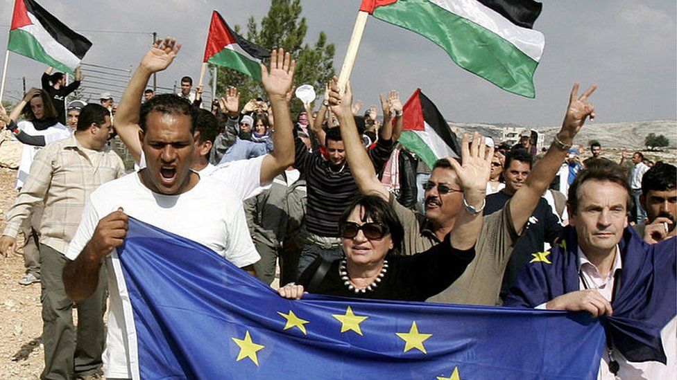 Vice-President of the European Parliament Luisa Morgantini holds EU flag at Palestinian protest near Ramallah (file photo)