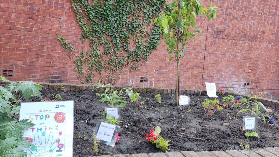 Brook Street School / Edward Street planter