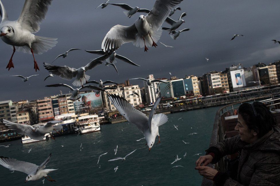 A woman feeds seagulls from a ferry.