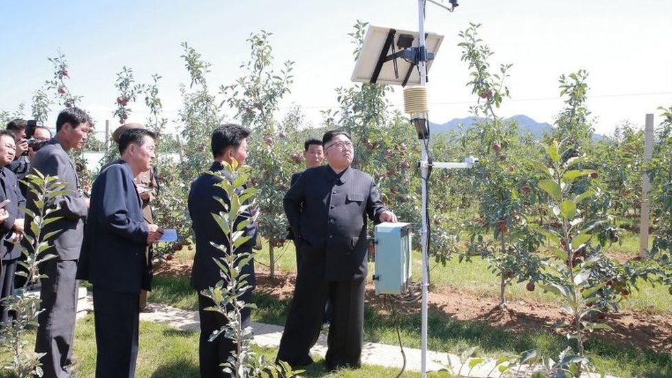 North Korean leader Kim Jong-Un visiting a fruit farm