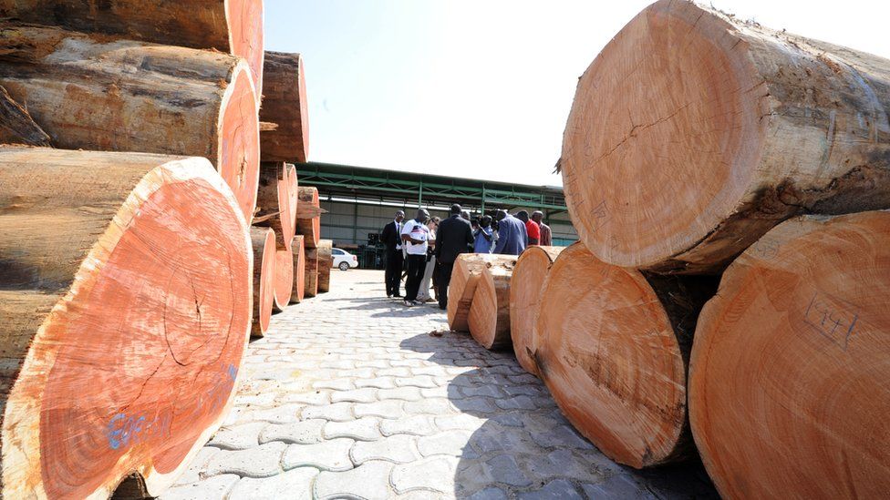 Wood at Gabonese port