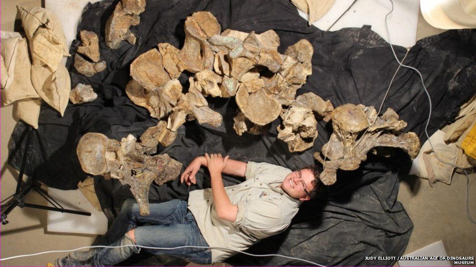 Dr Poropat among the dinosaur's huge vertebrae