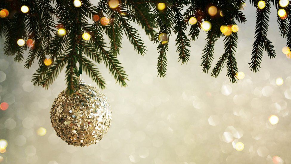 Christmas doo Pigeon delays removal of Fort William tree BBC News