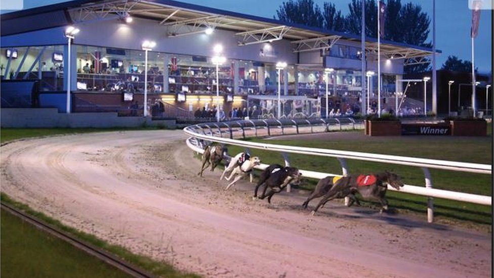 Drumbo Park: Greyhound stadium near Lisburn closes - BBC News