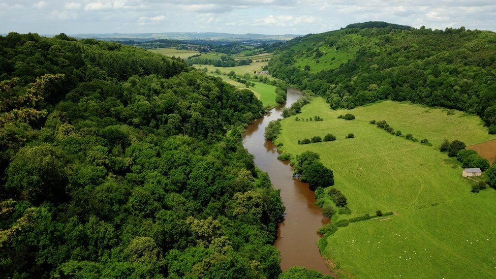The River Wye, seen from Symonds Yat Rock in Symonds Yat, Herefordshire, near the border with Gloucestershire and Monmouthshire, Wales.
