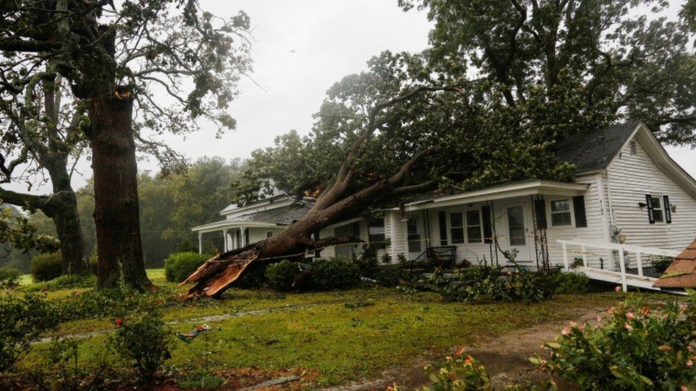 A tree is pictured on top of a house in Wilson, North Carolina