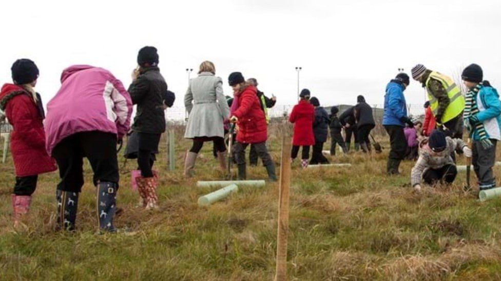 School children planting trees