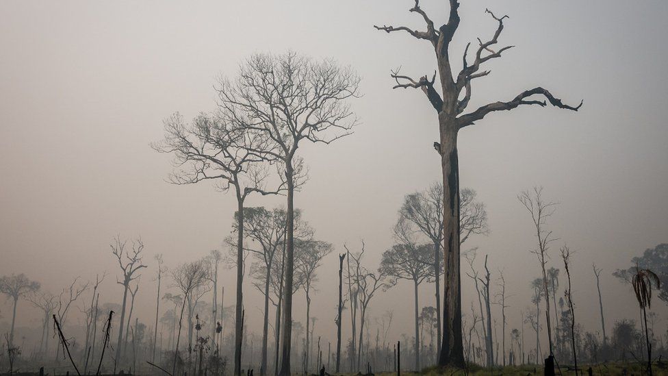 Queimada na Amazônia