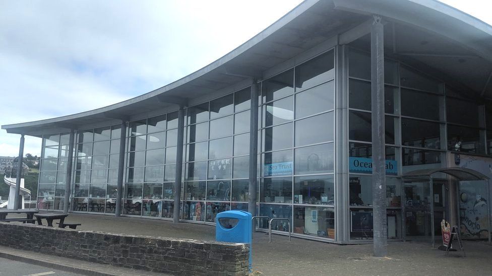 Sea Trust Ocean Lab aquarium in Goodwick saved BBC News