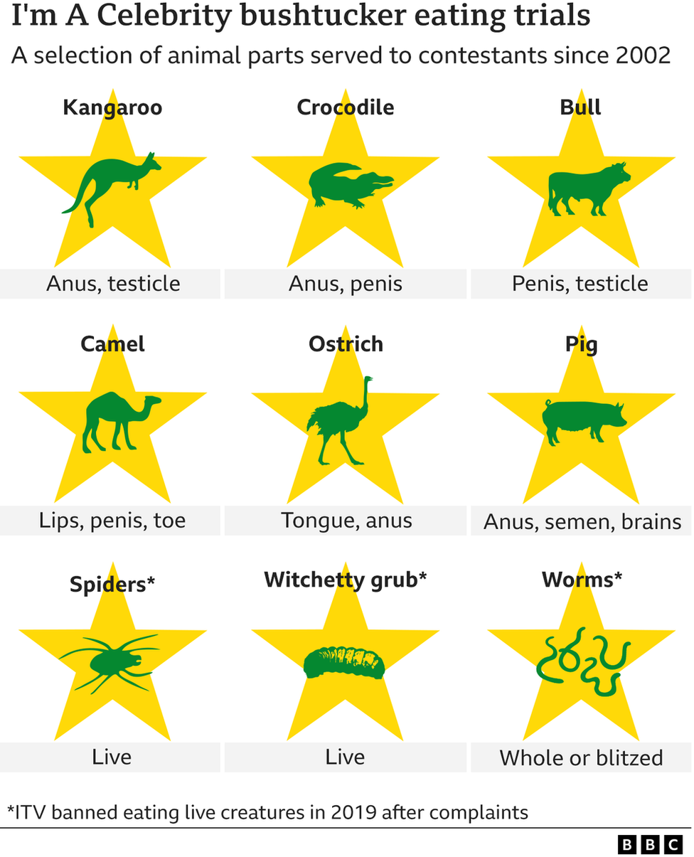 A graphic showing some examples of the animal parts that campmates have been seen eating on I'm A Celebrity since 2002