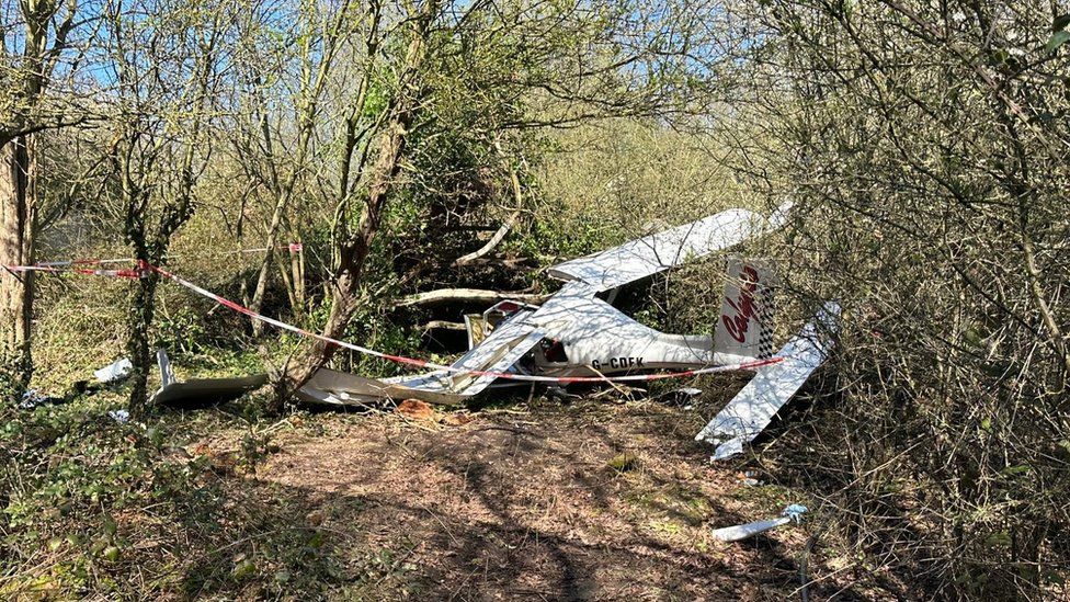 The crashed plane in the woodland