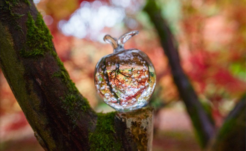 A paperweight on a branch reflects Japanese maple trees