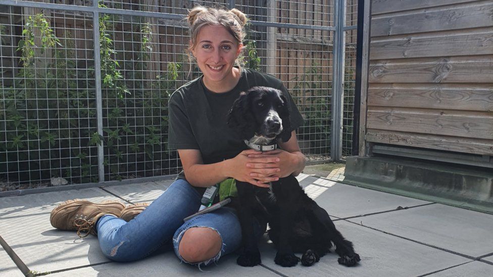 Nala the black cocker spaniel with a member of staff at Oxfordshire Animal Sanctuary