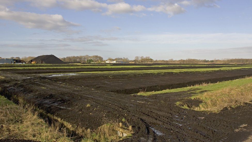 Peat extraction on the Somerset Levels close to Ham Wall RSPB reserve