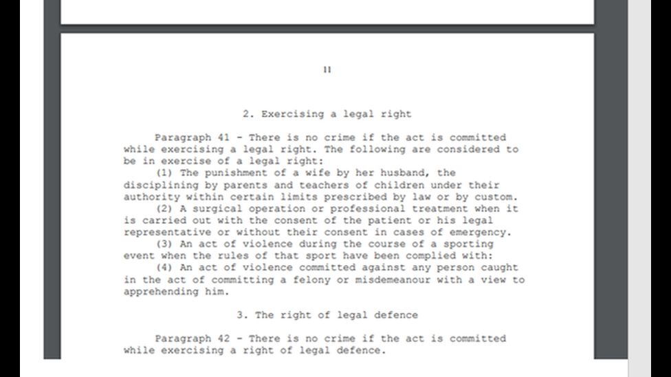 A screengrab of the Iraqi penal code