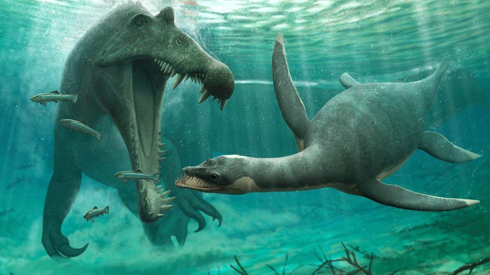 Plesiosaur evading a larger Spinosaur