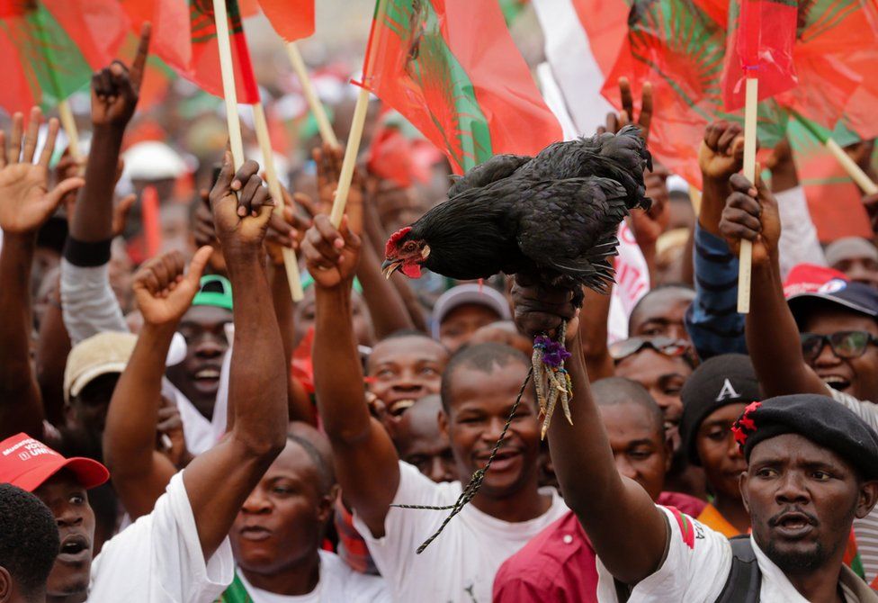 Suporters of Isaias Samakuva (not pictured), the candidate of the UNITA holding a black rooster, the symbol of the party during the closing campaign rally in Luanda, Angola