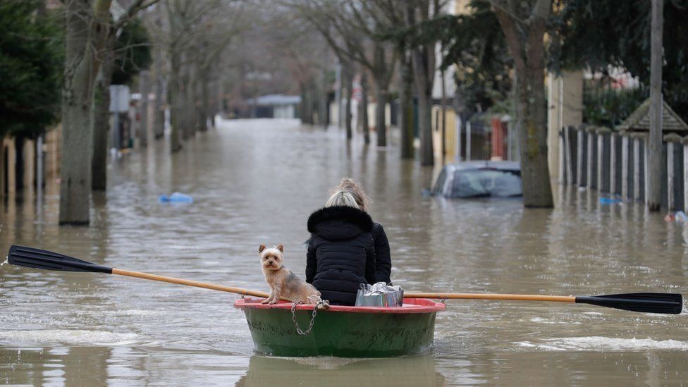 A residents and her dog use a rowboat to get down a flooded street in Villeneuve-Saint-Georges on the southern outskirts of Paris on 24 January 2018