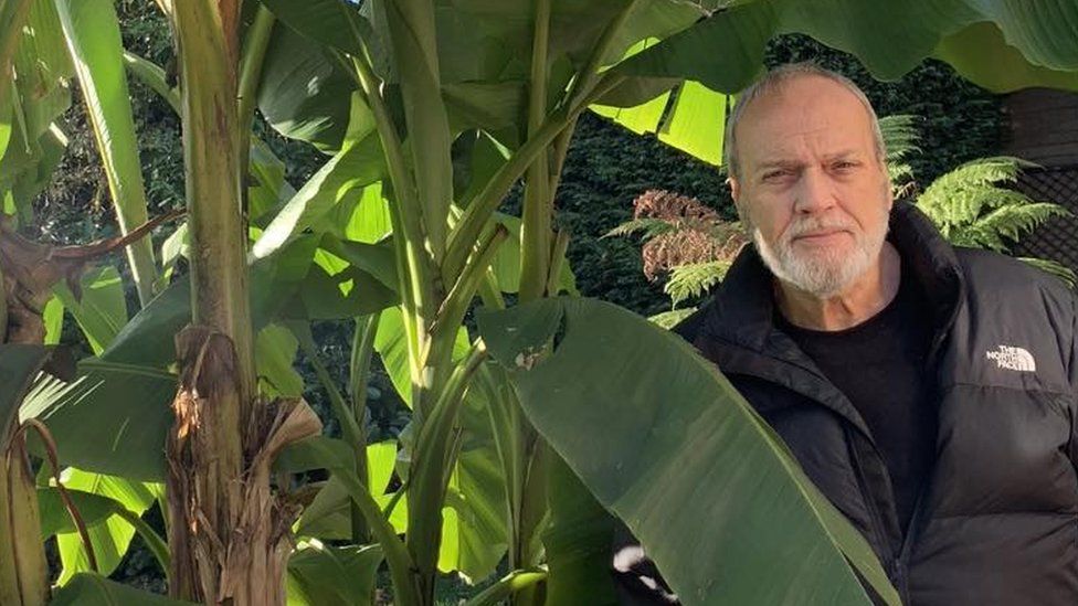 Kevin Brown with banana tree