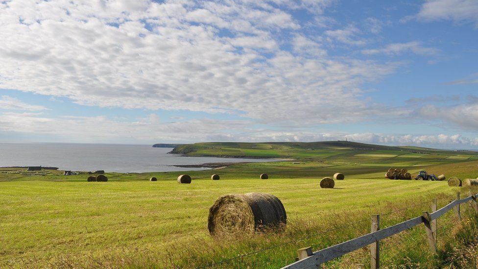 Bales in a field on South Ronaldsay, Orkney