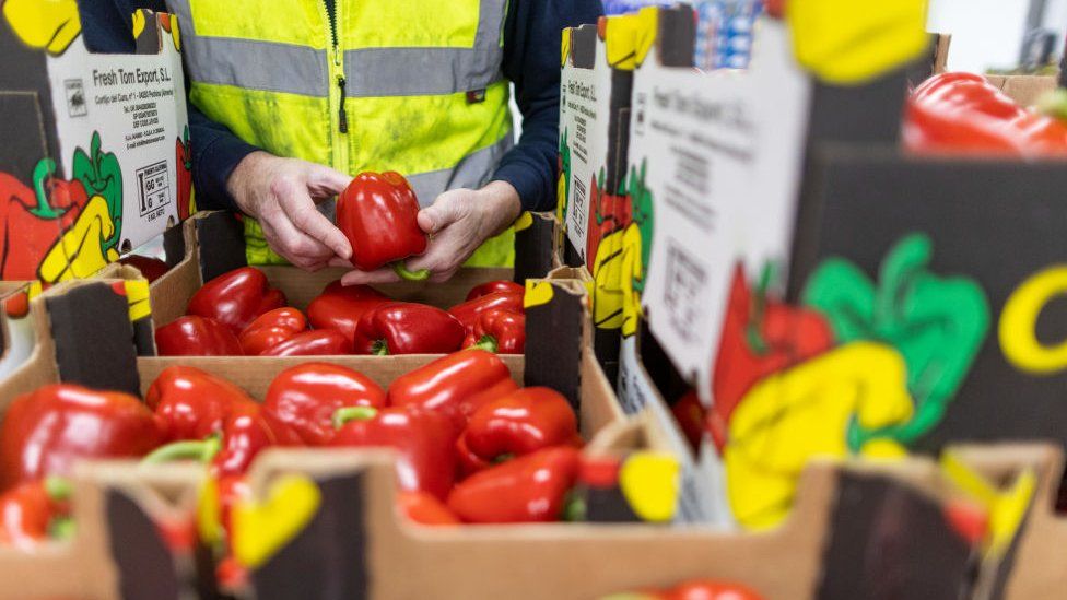 An employee checks boxes of red peppers imported from Spain.