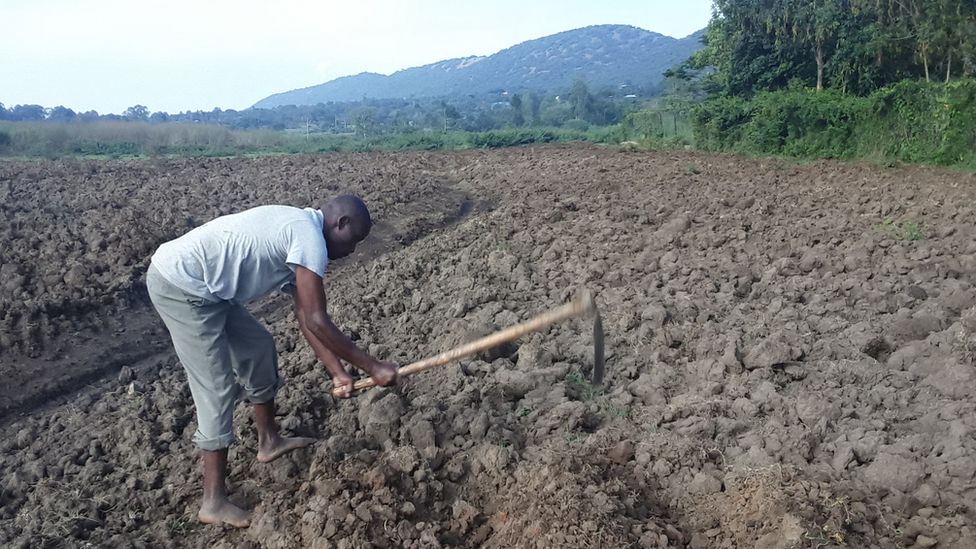 Кенийец Джеффри Бараса с помощью мотыги готовит землю для посадки помидоров и капусты