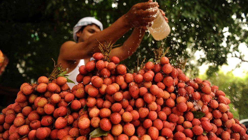 lychee seller in allahabad