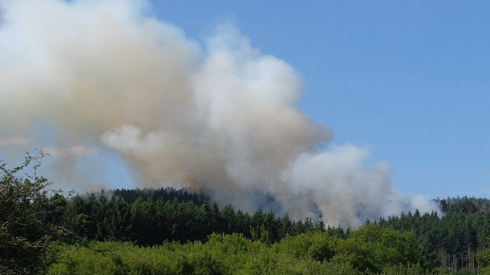 the forest fire in Maesteg