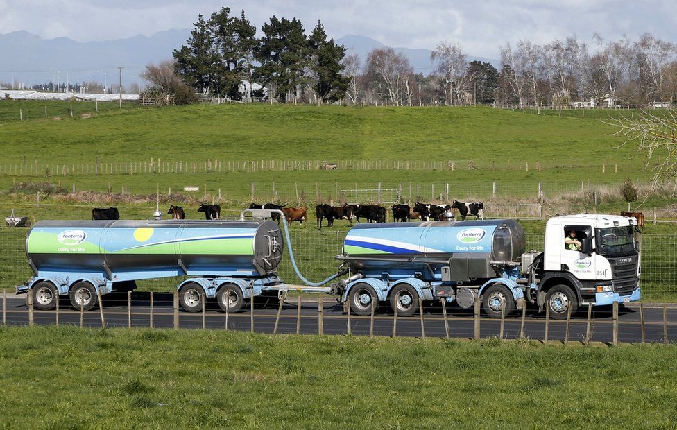 Fonterra milk tanker drives past dairy cows as it arrives at Fonterra"s Te Rapa plant near Hamilton, New Zealand, in this 6 August 2013 file photo