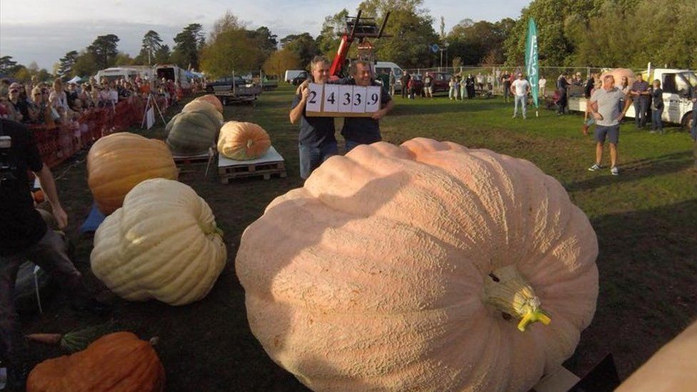 Ian and Stuart Paton with their record-breaking pumpkin