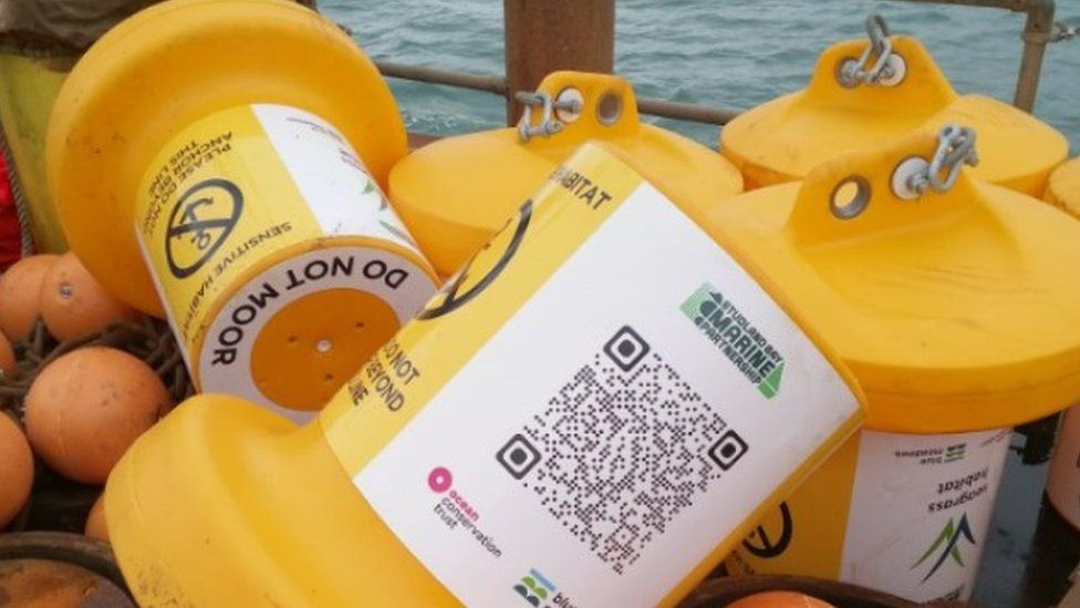 Studland Bay yellow buoys