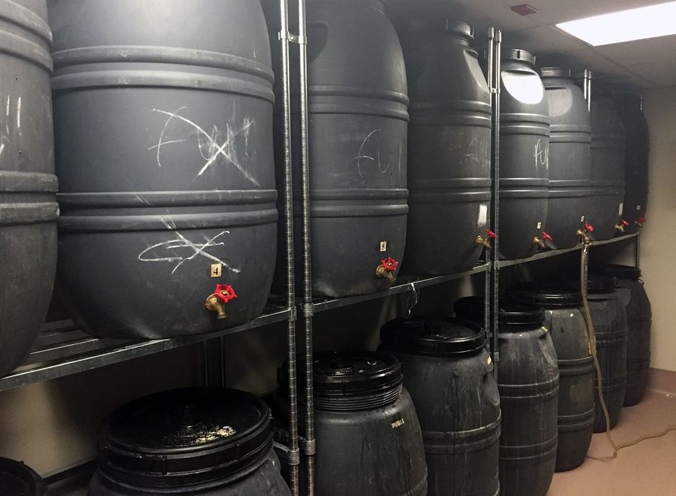 Barrels of home-brewed wine