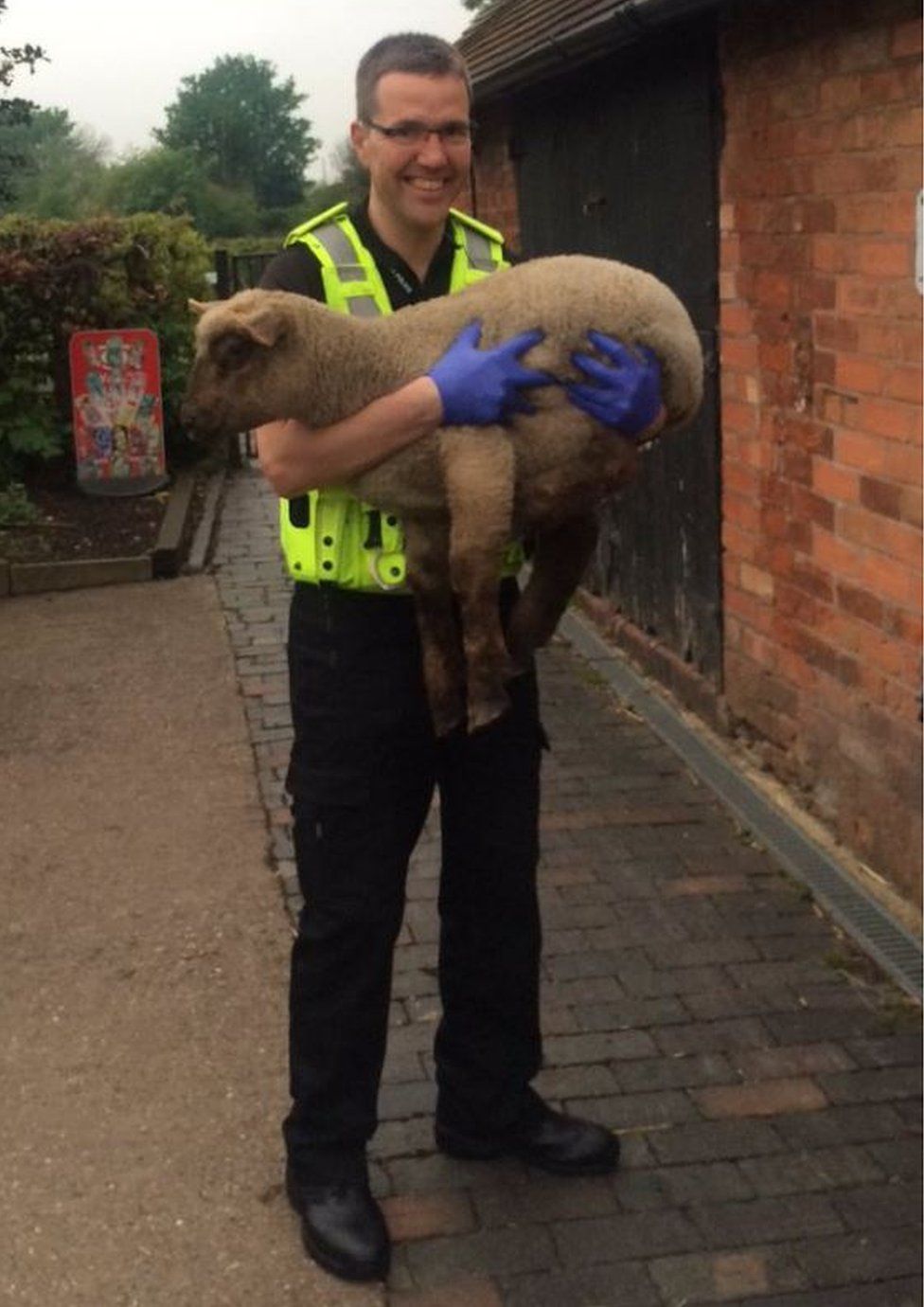 Inspector Clive Baynton holds one of the lambs