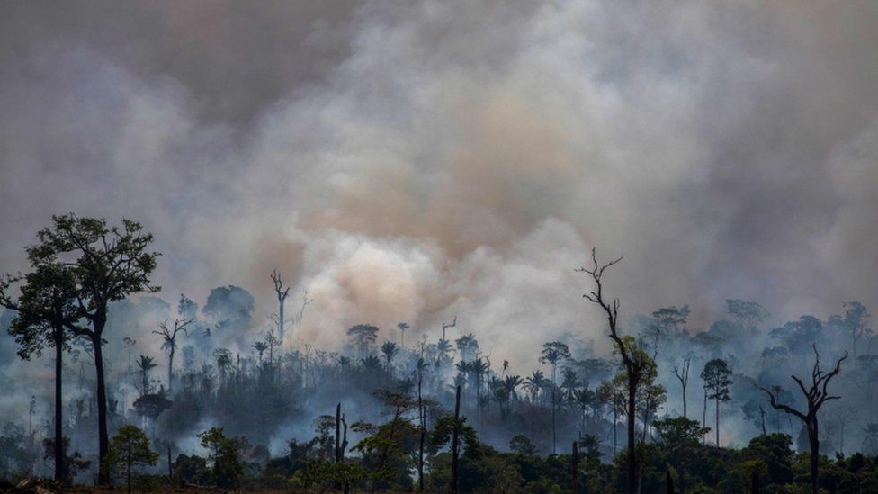 Smokes rises from forest fires in Altamira, Para state, Brazil, in the Amazon basin, 27 August