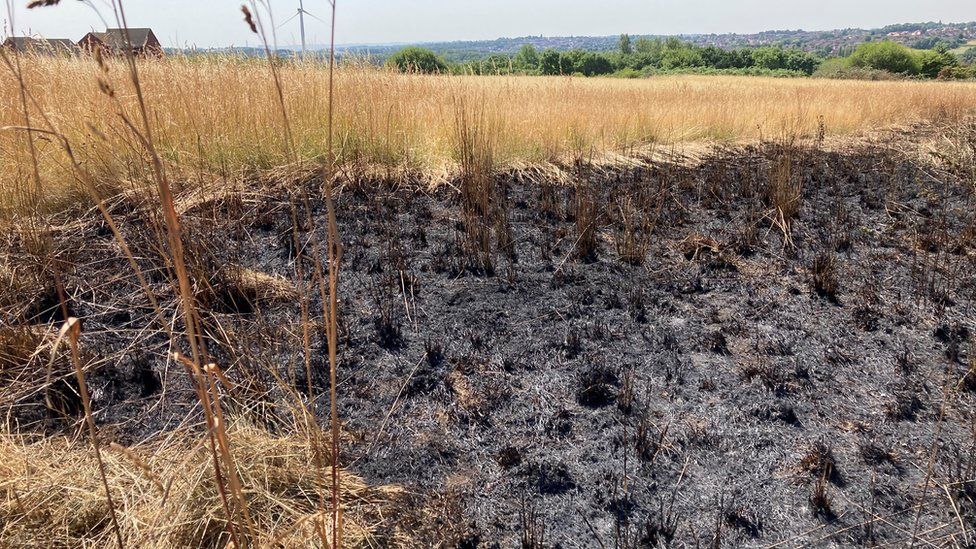 Fire damage to grass in Giltbrook
